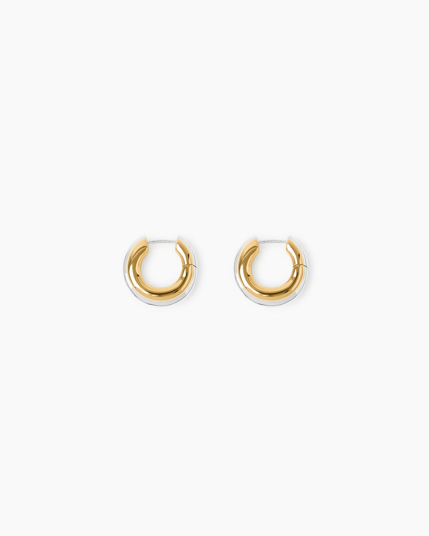 The Elenora Earrings